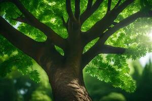 a tree with green leaves and sunlight shining through it. AI-Generated photo