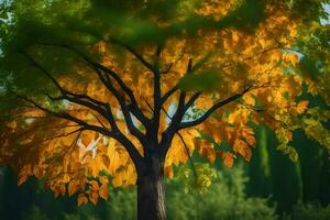 un árbol con amarillo hojas en el medio de un campo. generado por ai foto