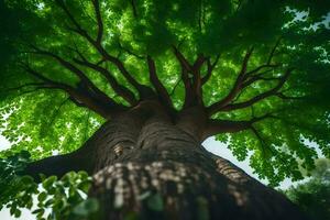 un árbol es visto desde abajo con verde hojas. generado por ai foto