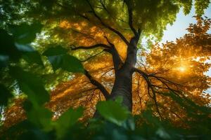 un árbol es visto desde abajo con el Dom brillante mediante el hojas. generado por ai foto