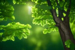 photo wallpaper the sun, trees, leaves, green, sunlight, trees, green, forest,. AI-Generated