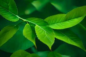 a close up of green leaves on a tree. AI-Generated photo