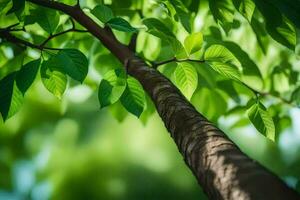 a tree branch with green leaves. AI-Generated photo