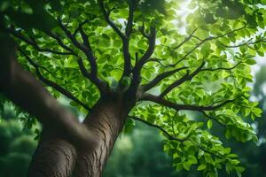 a tree with green leaves and sunlight. AI-Generated photo