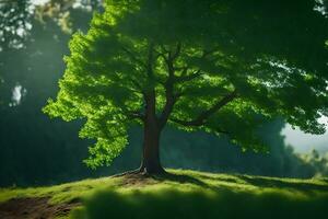 un árbol es en pie en un colina en el medio de un campo. generado por ai foto