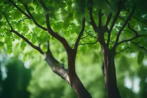 un árbol con verde hojas en el antecedentes. generado por ai foto