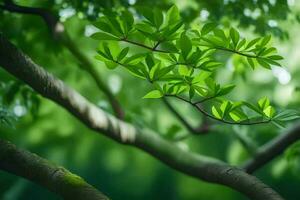 green leaves on a tree branch in the sunlight. AI-Generated photo