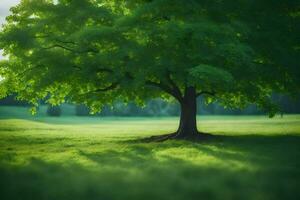 un árbol es en pie en el medio de un campo. generado por ai foto