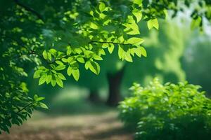 green leaves on a tree in the middle of a field. AI-Generated photo