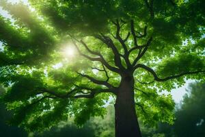 the sun shines through the leaves of a tree. AI-Generated photo