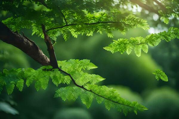 Nature Inspired Green Stock Photos, Images and Backgrounds for Free