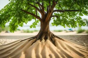 un árbol con raíces creciente fuera de el arena. generado por ai foto