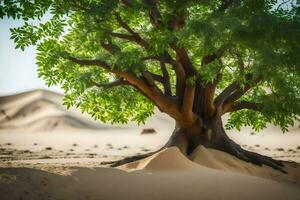 a tree in the desert with sand dunes in the background. AI-Generated photo