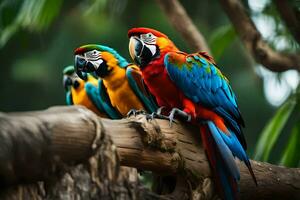 Tres vistoso loros sentado en un rama. generado por ai foto