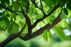 verde hojas en un árbol. generado por ai foto