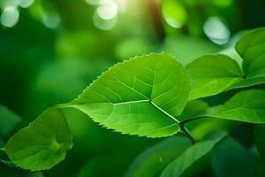 verde hojas en el luz de sol. generado por ai foto