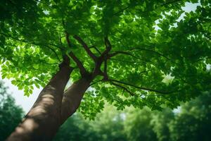 a tree with green leaves in the forest. AI-Generated photo