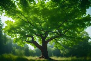 un árbol es mostrado en el luz de sol con verde hojas. generado por ai foto