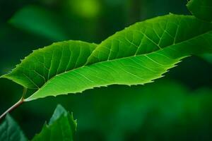 a close up of a green leaf in the forest. AI-Generated photo