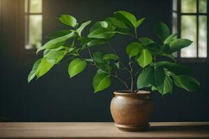 a potted plant on a table in front of a window. AI-Generated photo
