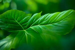 a close up of a green leaf. AI-Generated photo