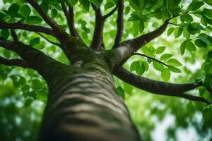 a tree with green leaves and sunlight. AI-Generated photo