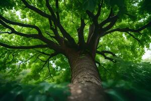 un árbol es visto desde abajo con verde hojas. generado por ai foto