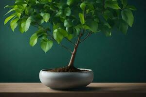 bonsai tree in a pot on a table. AI-Generated photo
