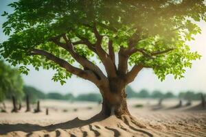 a tree in the desert with sand and dirt. AI-Generated photo