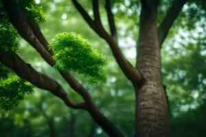 a tree with green leaves in the forest. AI-Generated photo