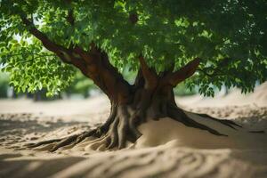 a tree in the sand with a sand dune in the background. AI-Generated photo