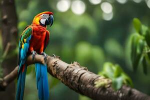 a colorful parrot sits on a branch. AI-Generated photo