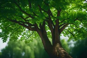 un árbol con verde hojas en el antecedentes. generado por ai foto