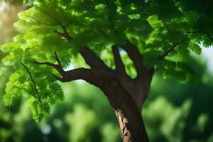 a tree with green leaves in the sun. AI-Generated photo