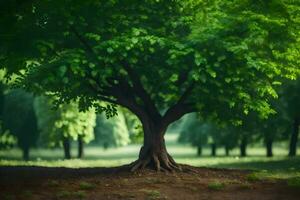 a tree with green leaves and roots in the middle of a field. AI-Generated photo