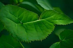 un hoja con un corazón forma en él. generado por ai foto