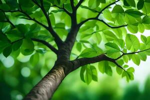 a tree with green leaves in the background. AI-Generated photo