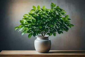 a potted plant in a vase on a table. AI-Generated photo