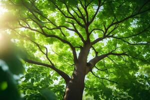 the sun shines through the leaves of a tree. AI-Generated photo