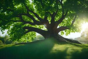 un árbol es mostrado en el luz de sol con el Dom brillante mediante él. generado por ai foto