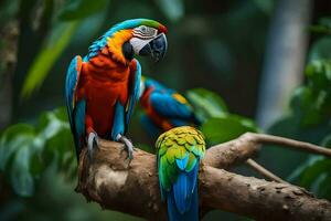 two colorful parrots sitting on a branch. AI-Generated photo