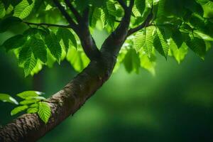 a tree branch with green leaves in the background. AI-Generated photo