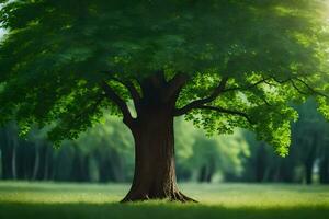 foto fondo de pantalla el cielo, árboles, césped, pradera, árboles, verde, árbol, verde. generado por ai