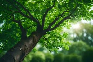 un árbol con verde hojas y luz de sol. generado por ai foto