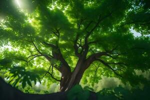the sun shines through the leaves of a tree. AI-Generated photo