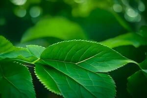 verde hojas en un árbol. generado por ai foto