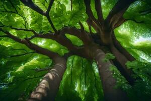 el verde arboles de el bosque. generado por ai foto