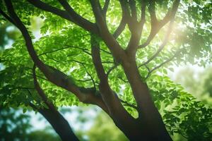 the sun shines through the leaves of a tree. AI-Generated photo