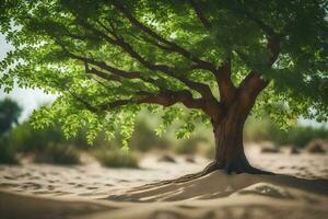 a tree in the desert with sand and grass. AI-Generated photo