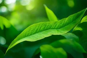 a close up of a leaf in the sunlight. AI-Generated photo